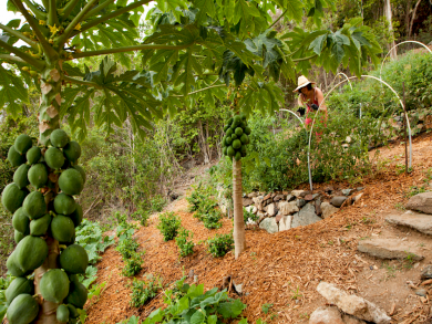 St. John Home 945357