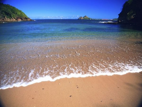 5 Bedroom Walk to Beach Tropical St Lucia Oasis!