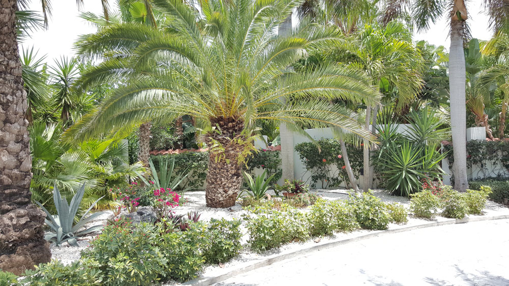 Turks And Caicos Home 945435 Turks And Caicos Home 945435