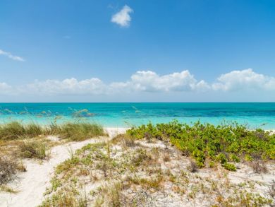 Turks And Caicos Home 945503