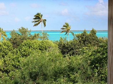 Bahamas Three Bedroom Vacation Condo with Sea View Sleeps 6