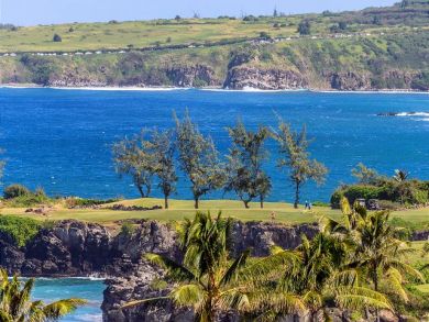 Kapalua One Bedroom Beachfront Rental Condo Ocean View