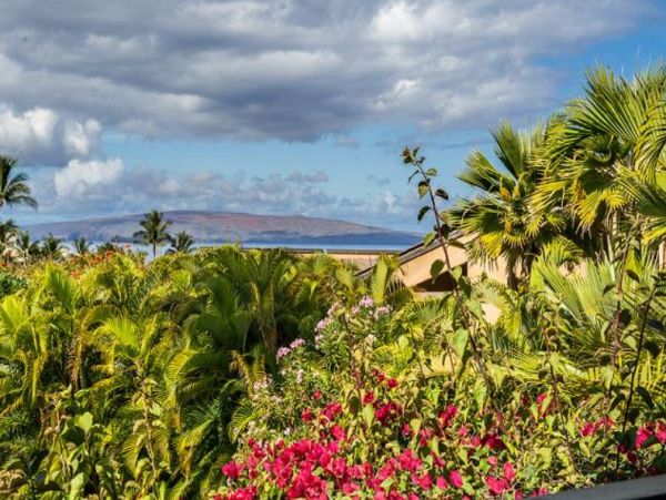 Spacious Lovely One Bedroom Wailea Condo Near the Ocean