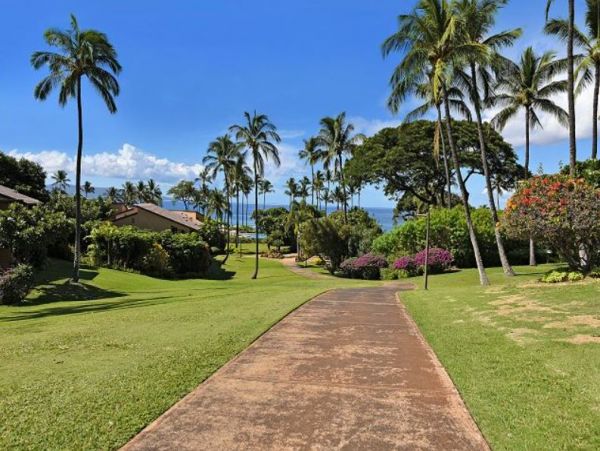 Spacious Lovely One Bedroom Wailea Condo Near the Ocean