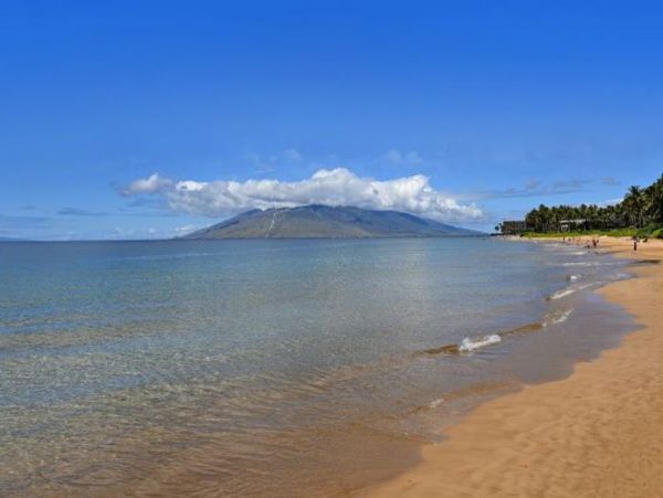 Spacious Lovely One Bedroom Wailea Condo Near the Ocean
