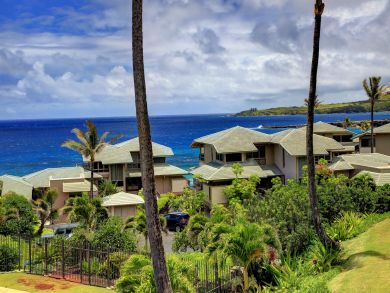 Great Value.One Bedroom Ocean View Vacation Condo in Kapalua