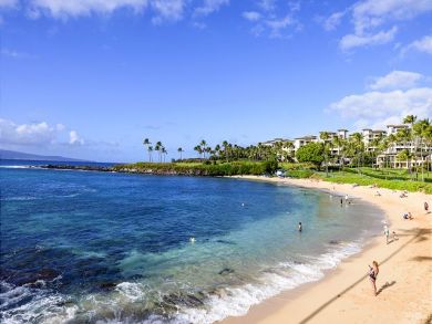 Great Value.One Bedroom Ocean View Vacation Condo in Kapalua