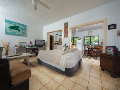 British Virgin Islands Vacation Rental Pool Home One Bedroom