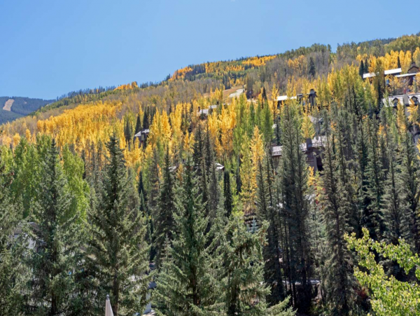 Walk to Lift Four-Bedroom Rental Condo in Vail