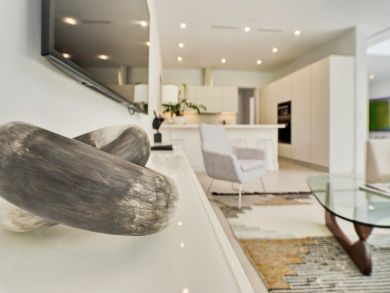 Miami Beach Home 946260