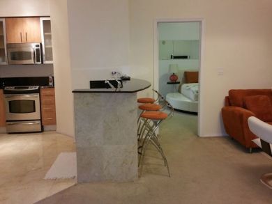 Miami Beach Condo 946283
