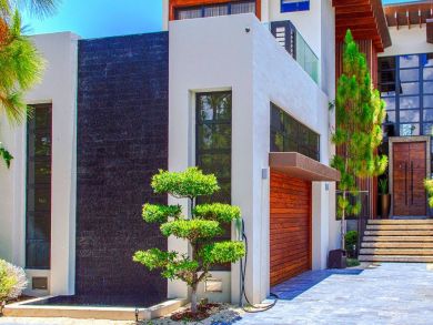 Miami Beach Home 946286