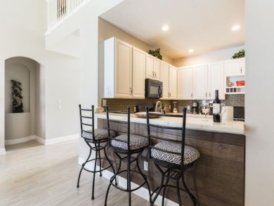 Orlando Home 946290