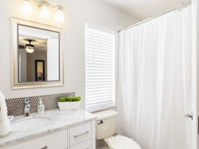 Orlando Home 946290
