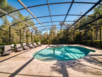 Orlando Home 946305