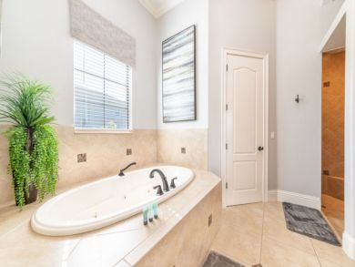 Orlando Home 946305