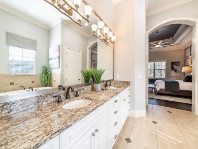 Orlando Home 946305