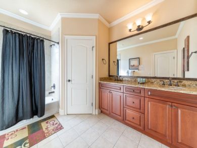 Orlando Home 946305