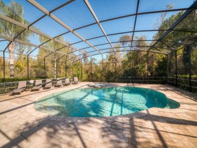 Orlando Home 946305