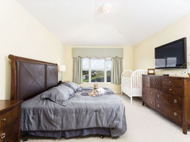 Orlando Home 946313