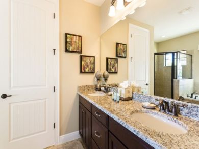 Orlando Home 946321