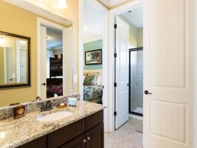 Orlando Home 946321