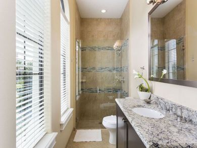 Orlando Home 946326