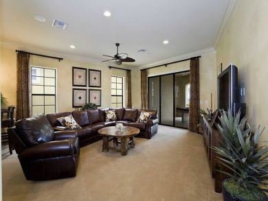 Orlando Home 946327