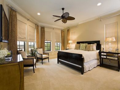 Orlando Home 946327