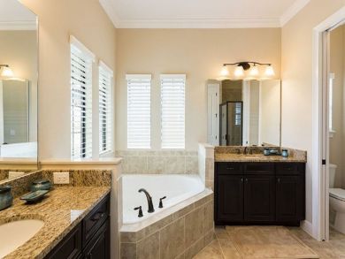 Orlando Home 946333