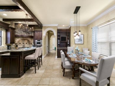 Orlando Home 946335
