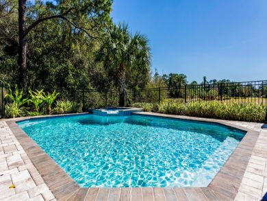 Orlando Home 946337