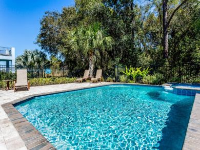 Orlando Home 946337