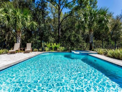 Orlando Home 946337
