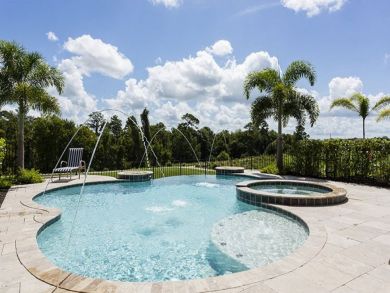 Orlando Home 946341