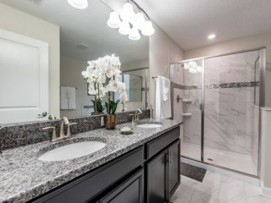 Orlando Home 946356