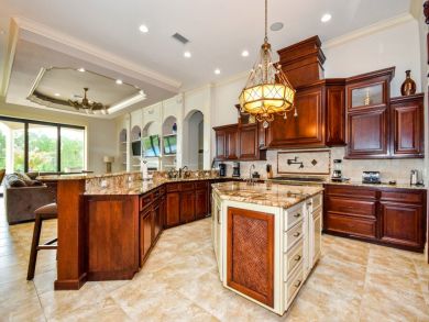 Orlando Home 946365