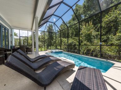 Orlando Home 946366