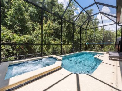 Orlando Home 946366