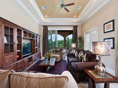 Orlando Home 946375