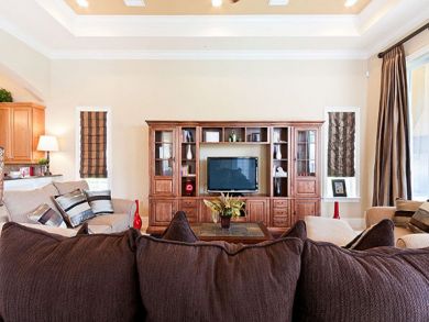 Orlando Home 946375