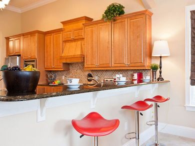 Orlando Home 946375