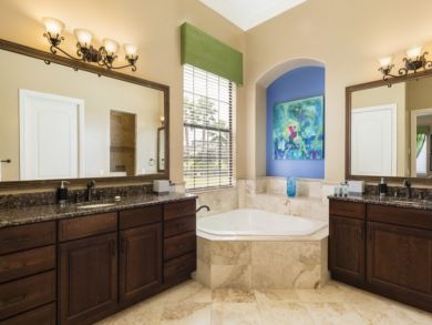 Orlando Home 946377
