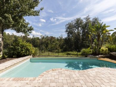 Orlando Home 946377