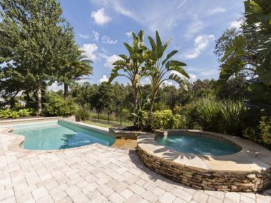 Orlando Home 946377
