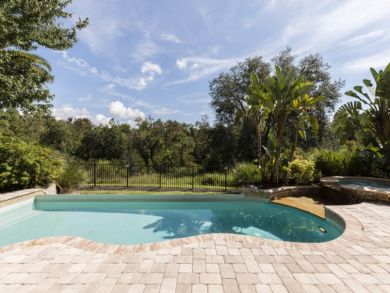 Orlando Home 946377