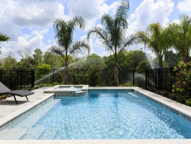 Orlando Home 946382