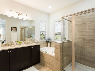 Orlando Home 946386