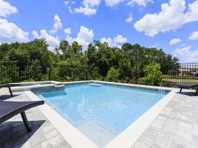 Orlando Home 946386