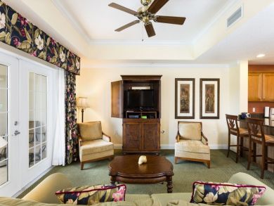 Orlando Home 946391